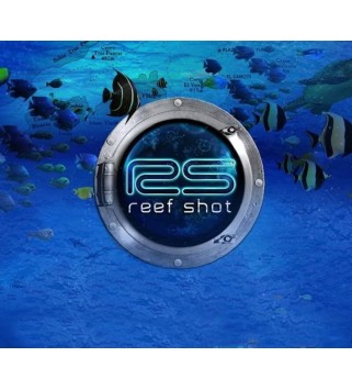 Reef Shot Steam Key GLOBAL
